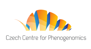 Logo Logo CCP 3