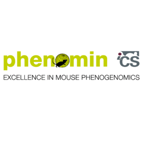 Logo Logo Phenomin Ics 2
